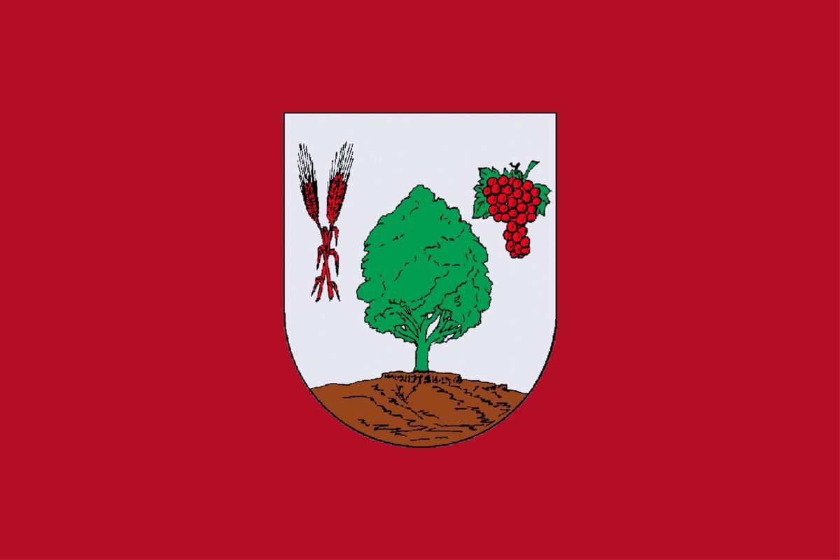 Propuesta del Ayuntamiento de Camporrobles para oficializar su bandera.