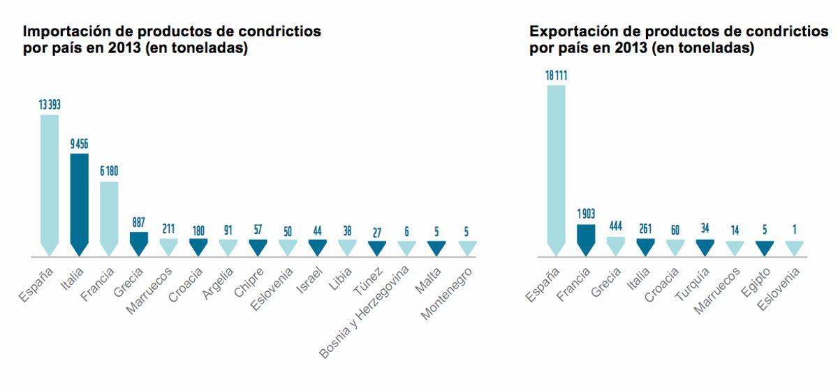 Toque de atención a España, segundo mayor comercializador de tiburones del mundo