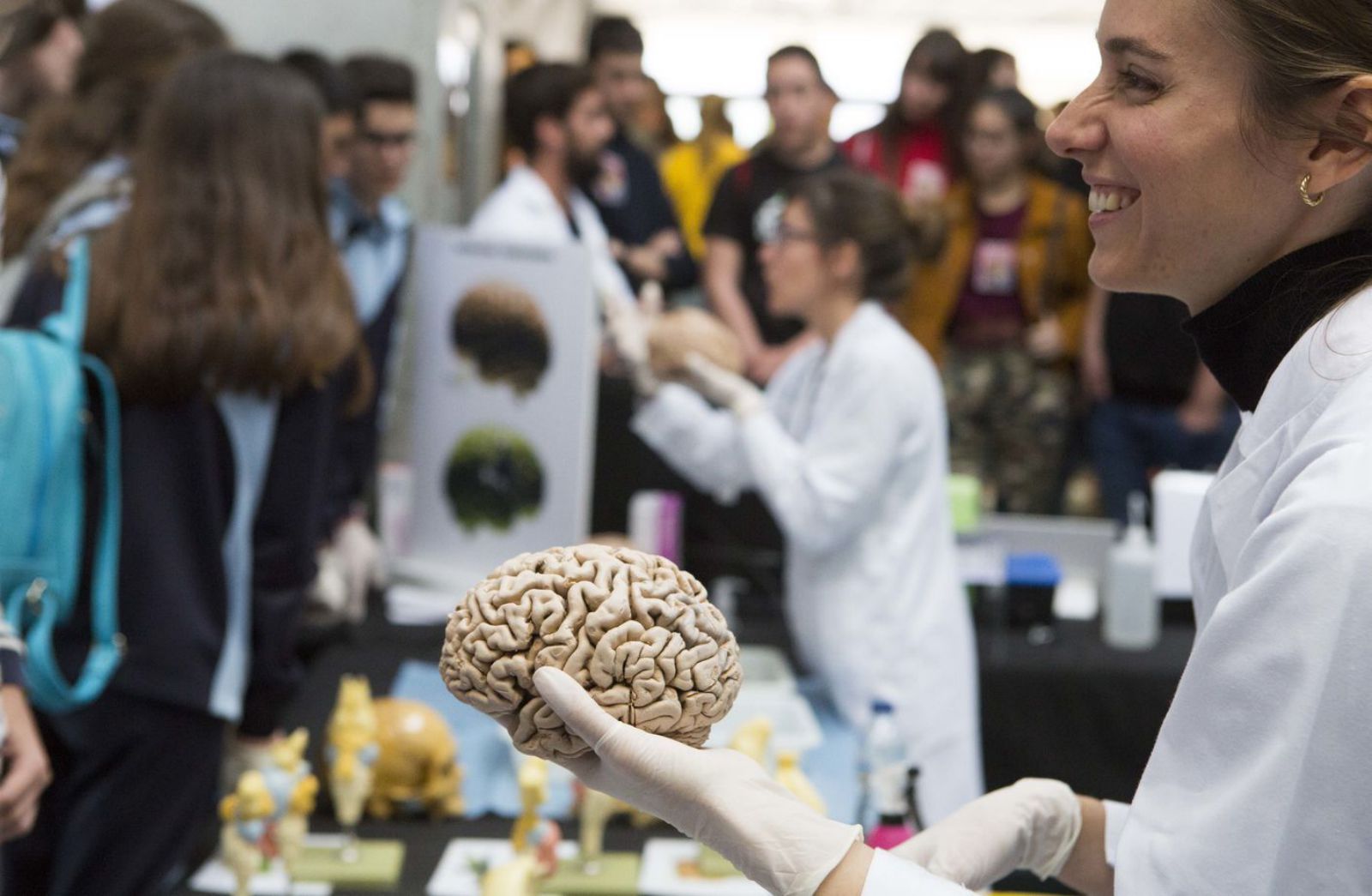 Imagen de archivo de los talleres de la Semana del Cerebro del Instituto de Neurociencias. | RAFA ARJONES