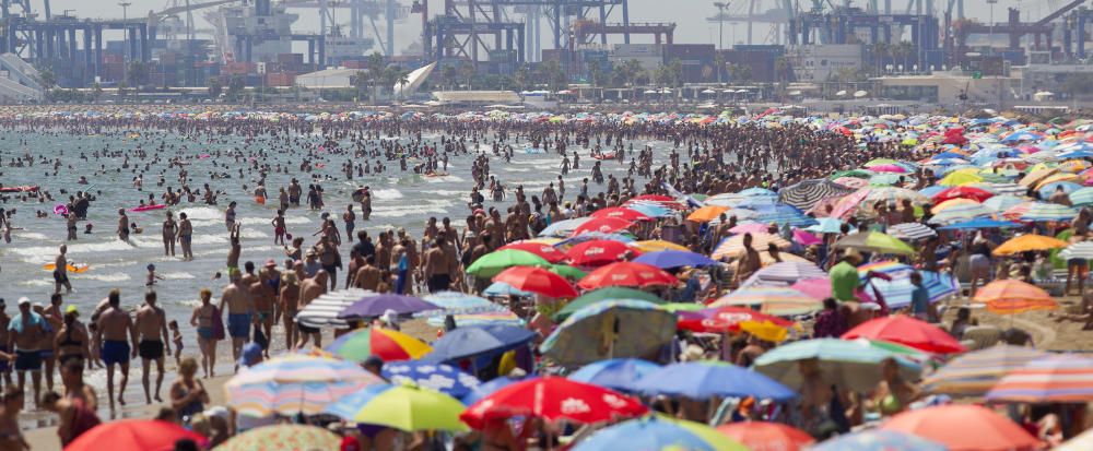 Alerta por altas temperaturas en la C. Valenciana