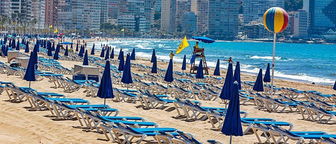 Una de las zonas acotadas reservada para las hamacas en la playa de Benidorm.