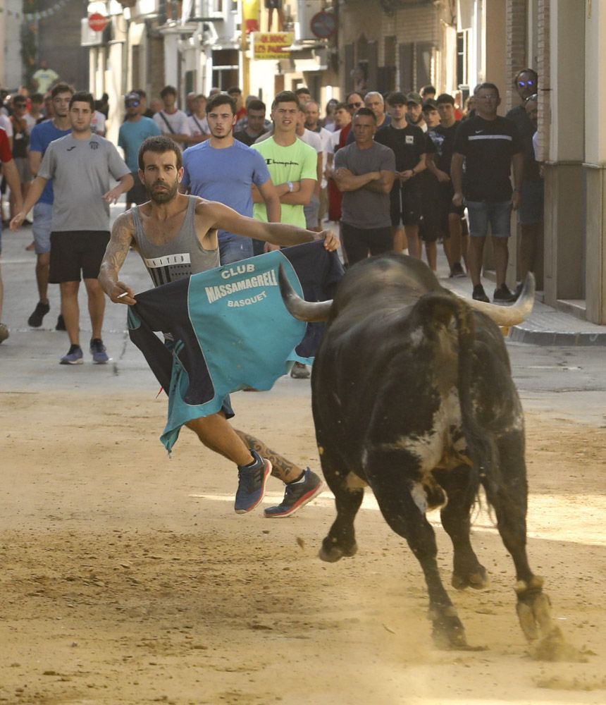 Bous al carrer en Canet d'En Berenguer