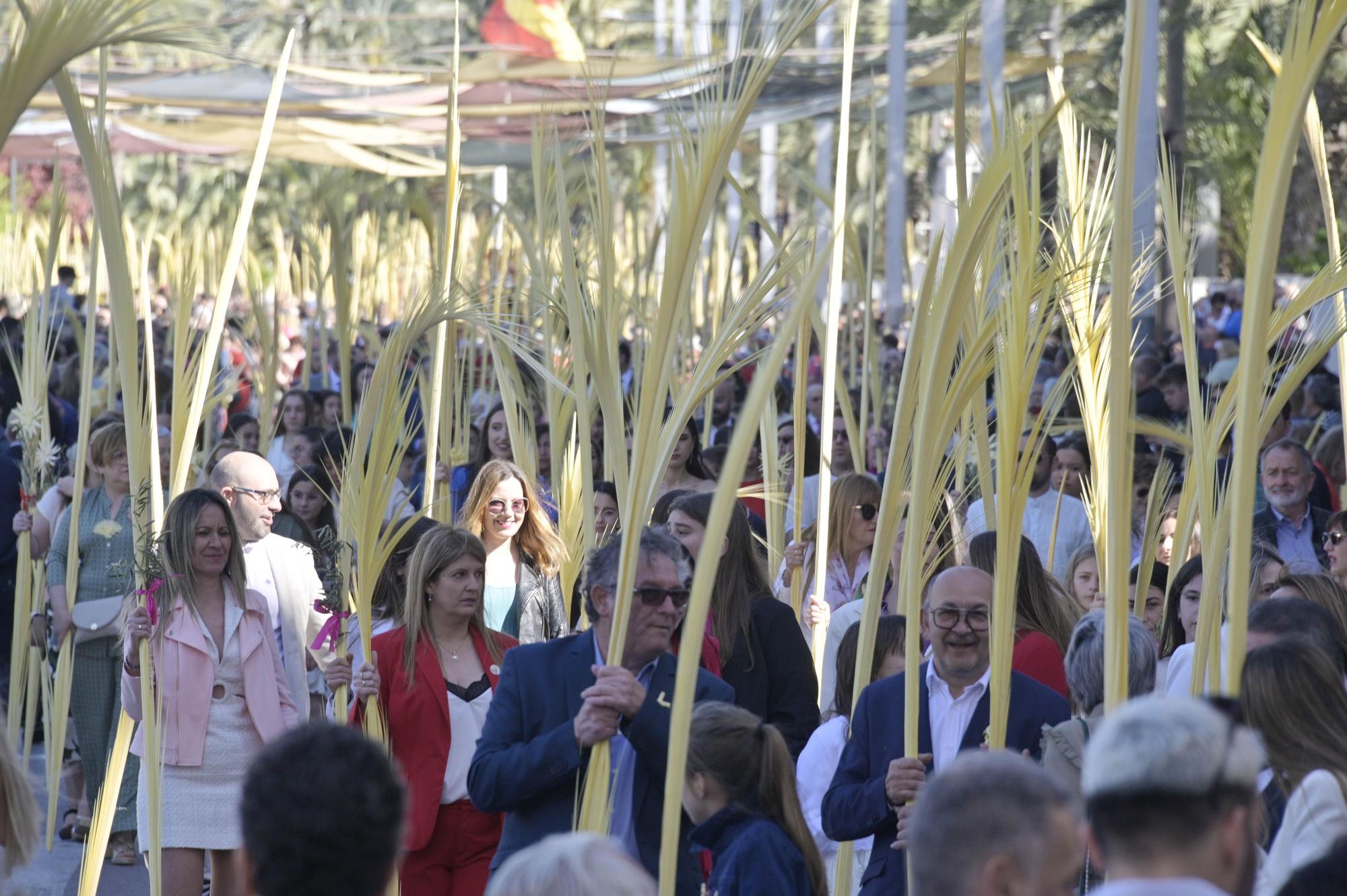 Domingo de Ramos en Elche