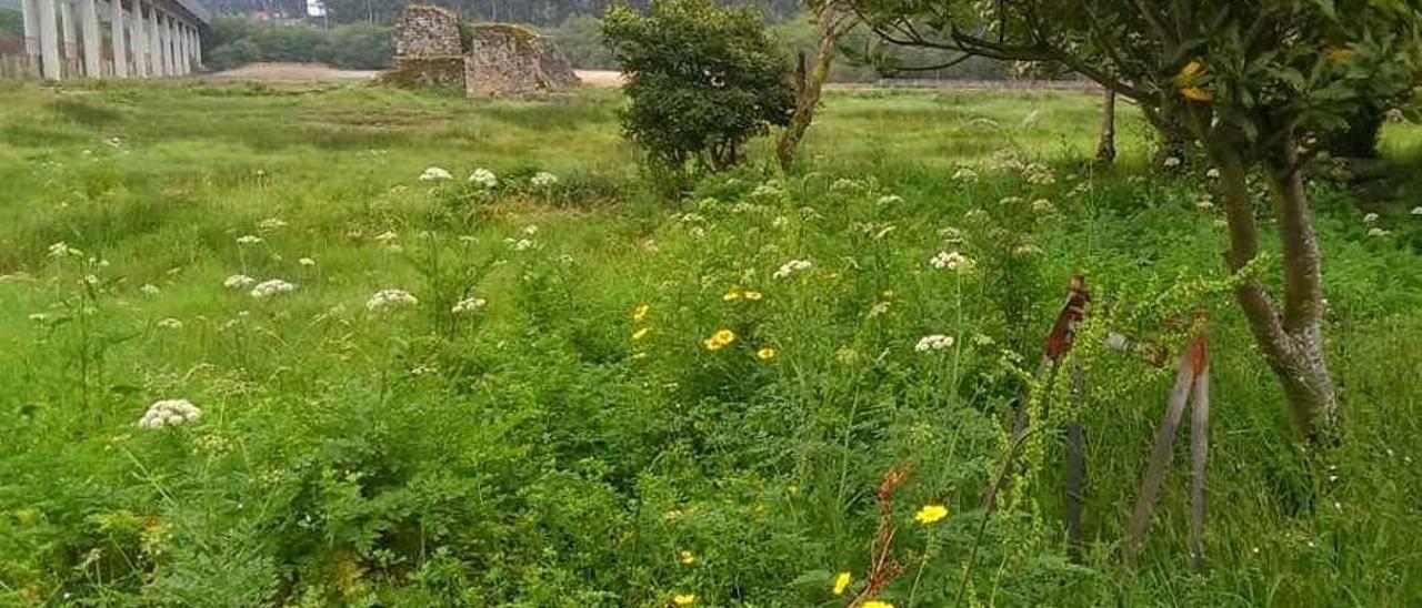 Imagen del entorno de las torres de Oeste. // FDV