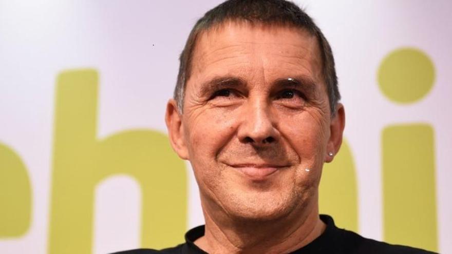 Admitido a trámite el recurso contra la inhabilitación de Otegi.