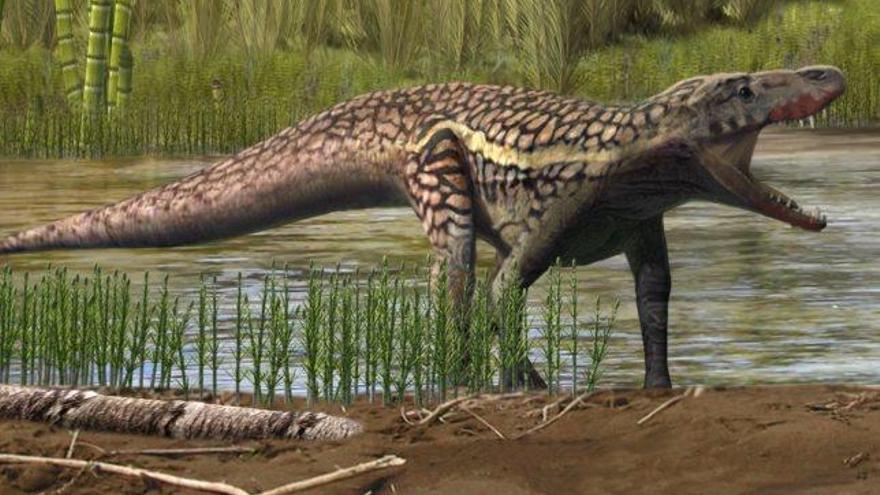 Descobreixen empremtes d&#039;un rèptil anterior als dinosaures