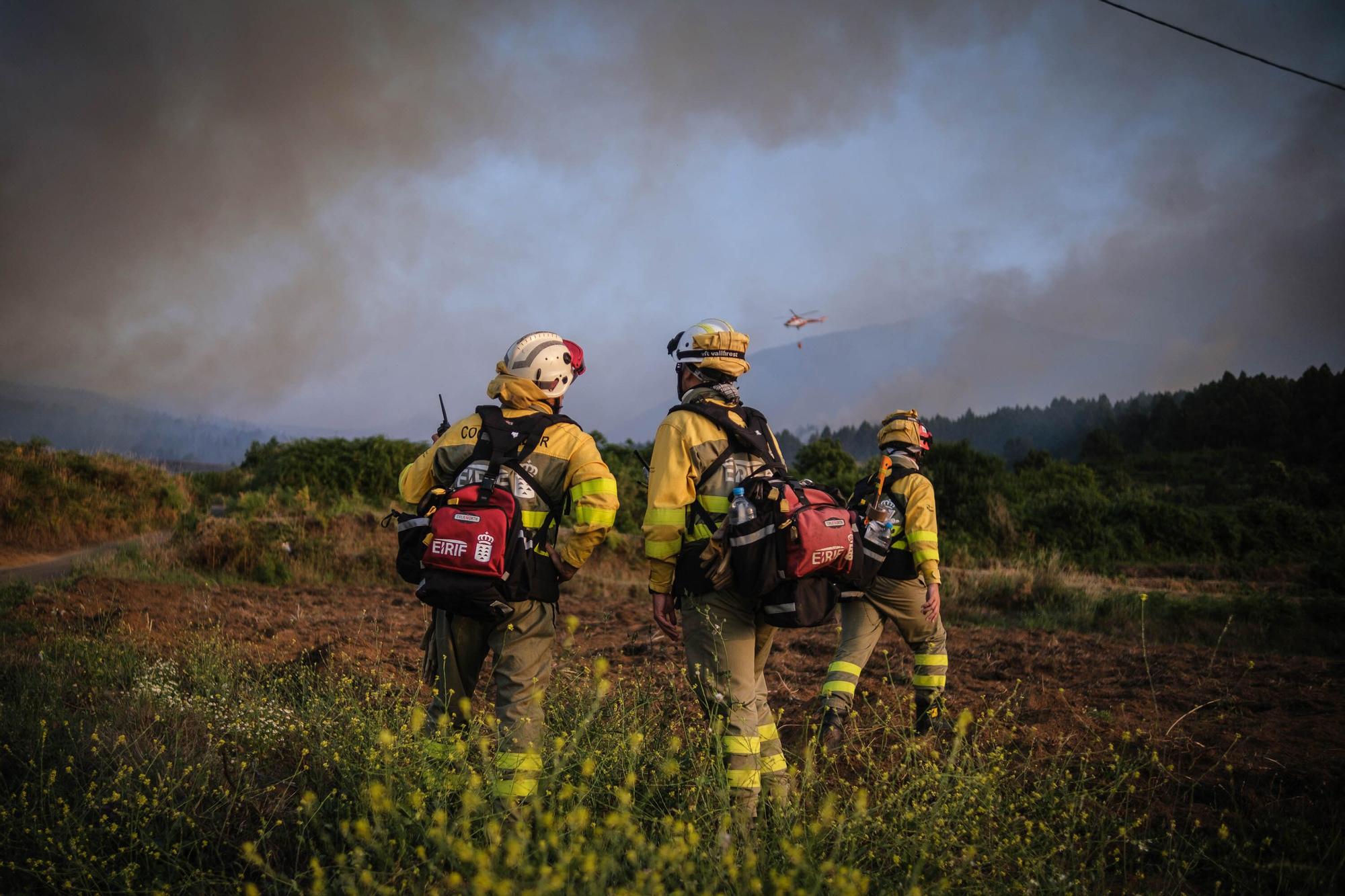 El incendio forestal de Tenerife, en imágenes