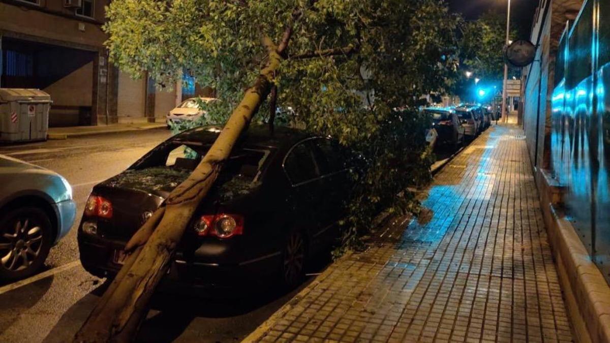 En directo | Más de 200 militares trabajan en las incidencias provocadas por la gota fría en Orihuela