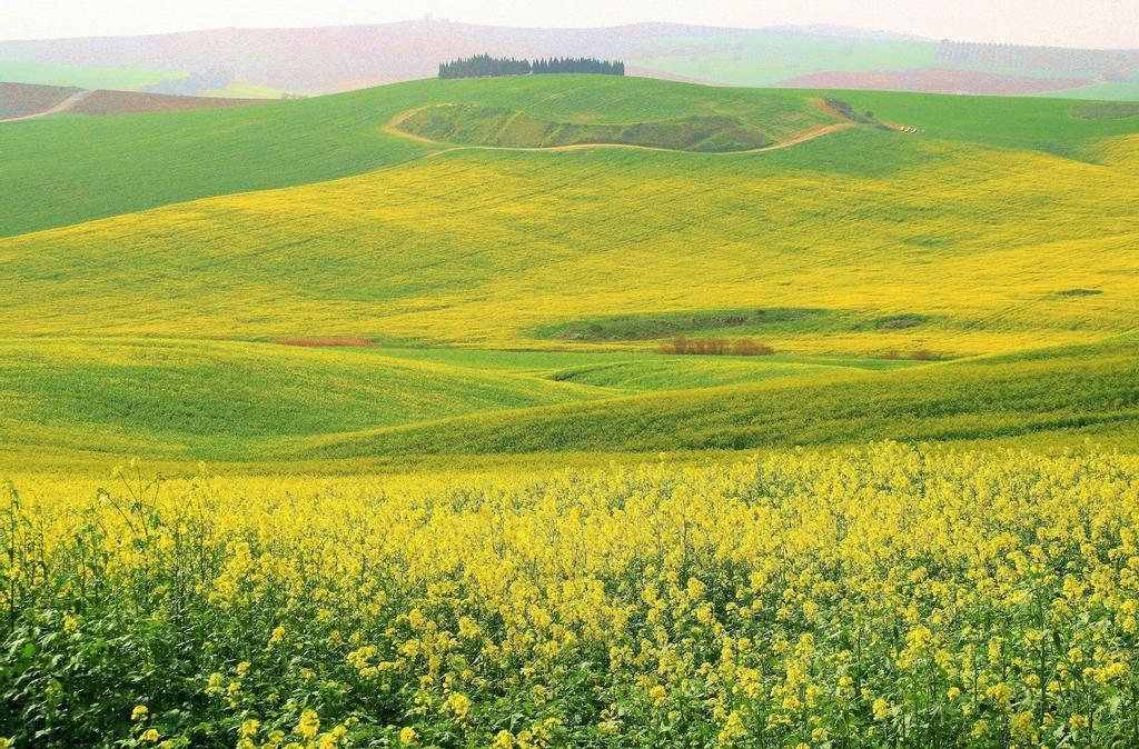 Ruta, Washington Irving