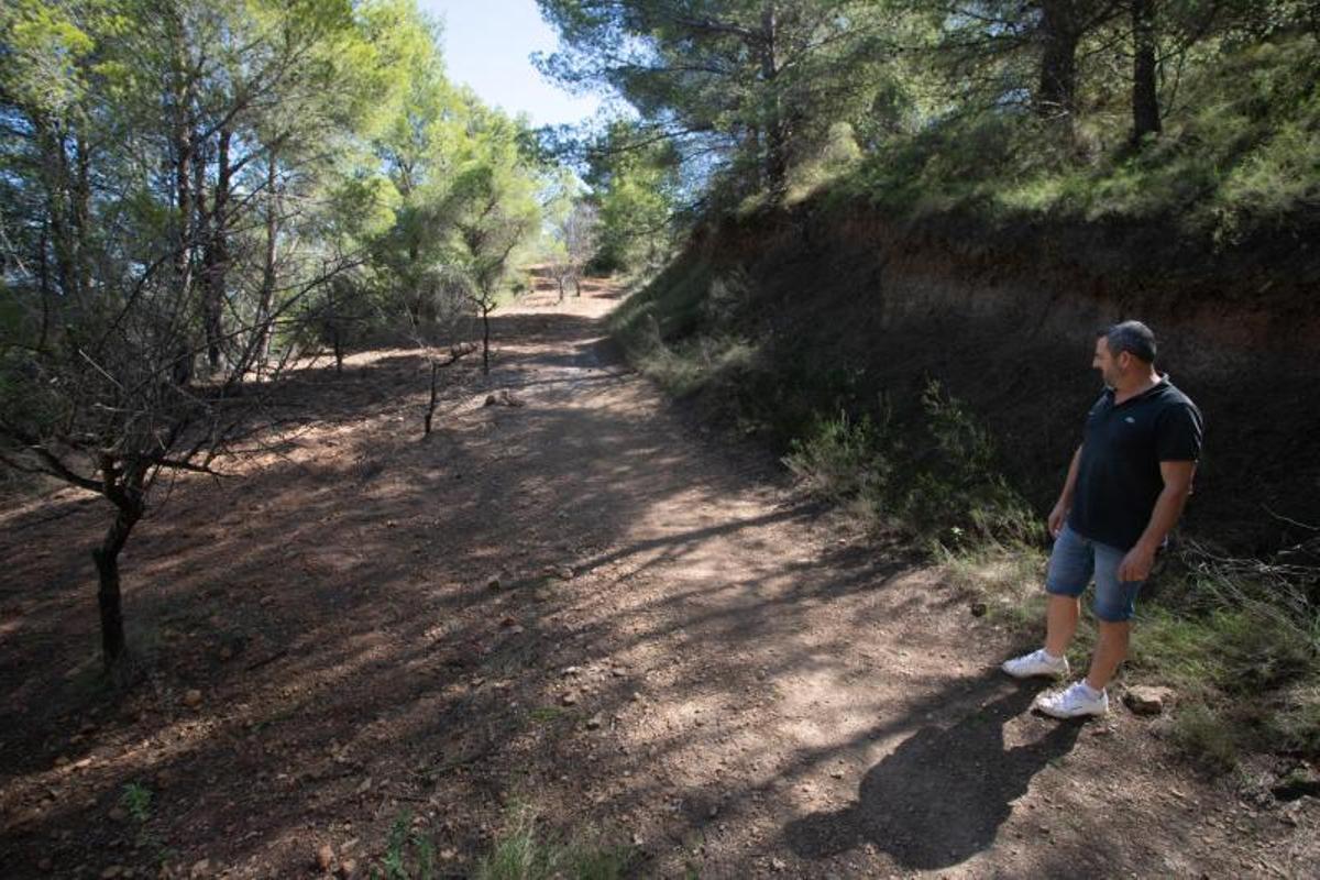 Algunas de las sendas del parque