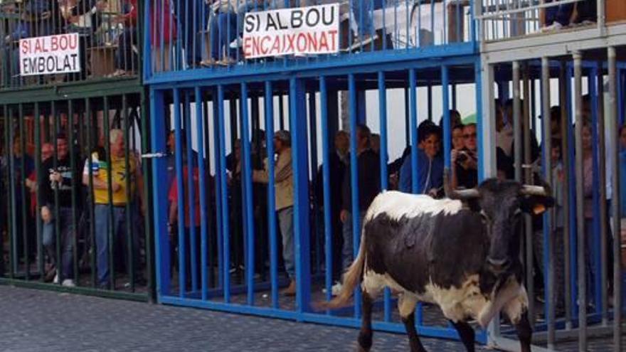 Los taurinos de Xàbia llenan los «cadafals» de carteles a favor del «bou embolat»
