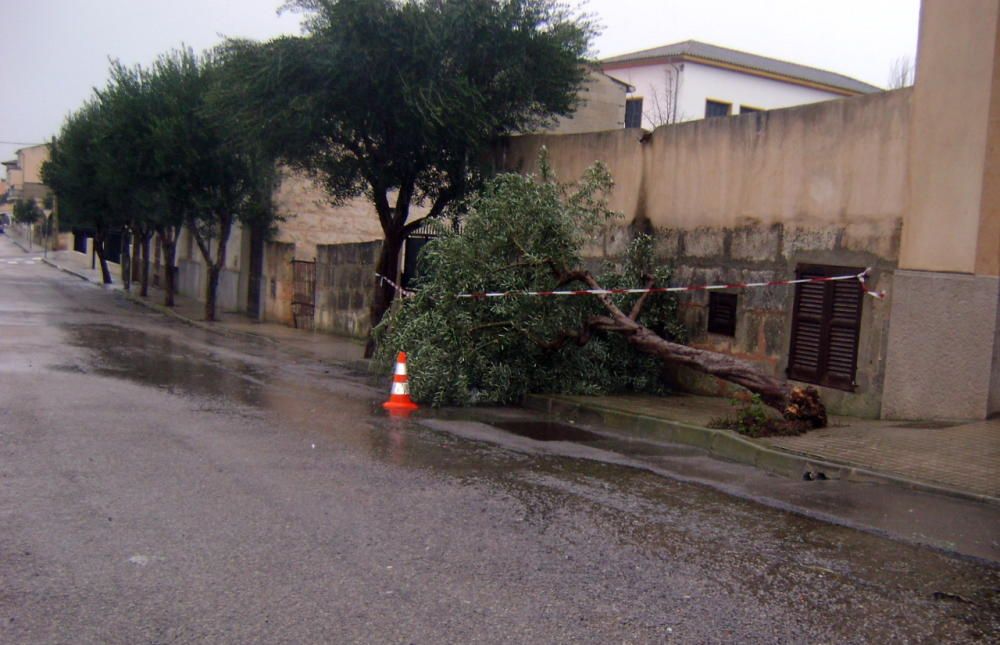 Los estragos del temporal en Mallorca