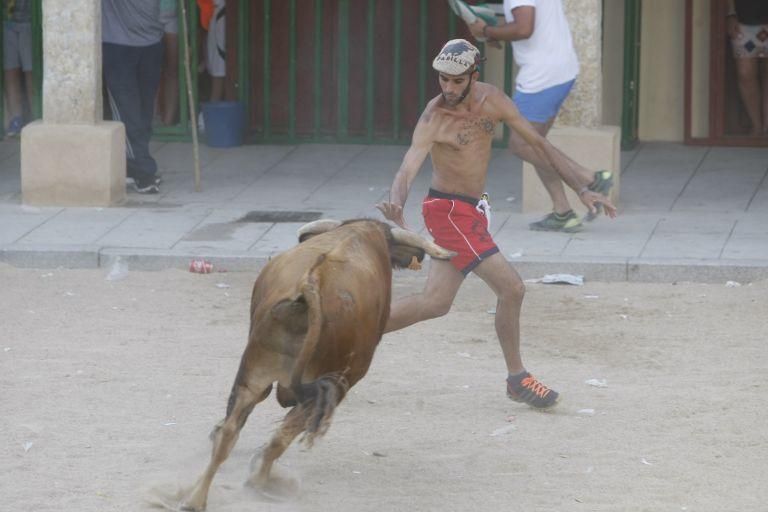 Encierro urbano en Fuentesaúco.