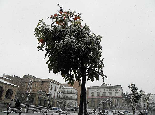 Fotos de nuestros lectores de la gran nevada