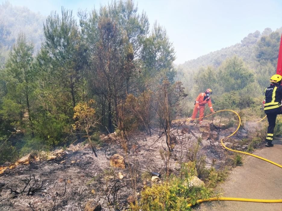 Los Bomberos apagan un fuego forestal en Xàbia.