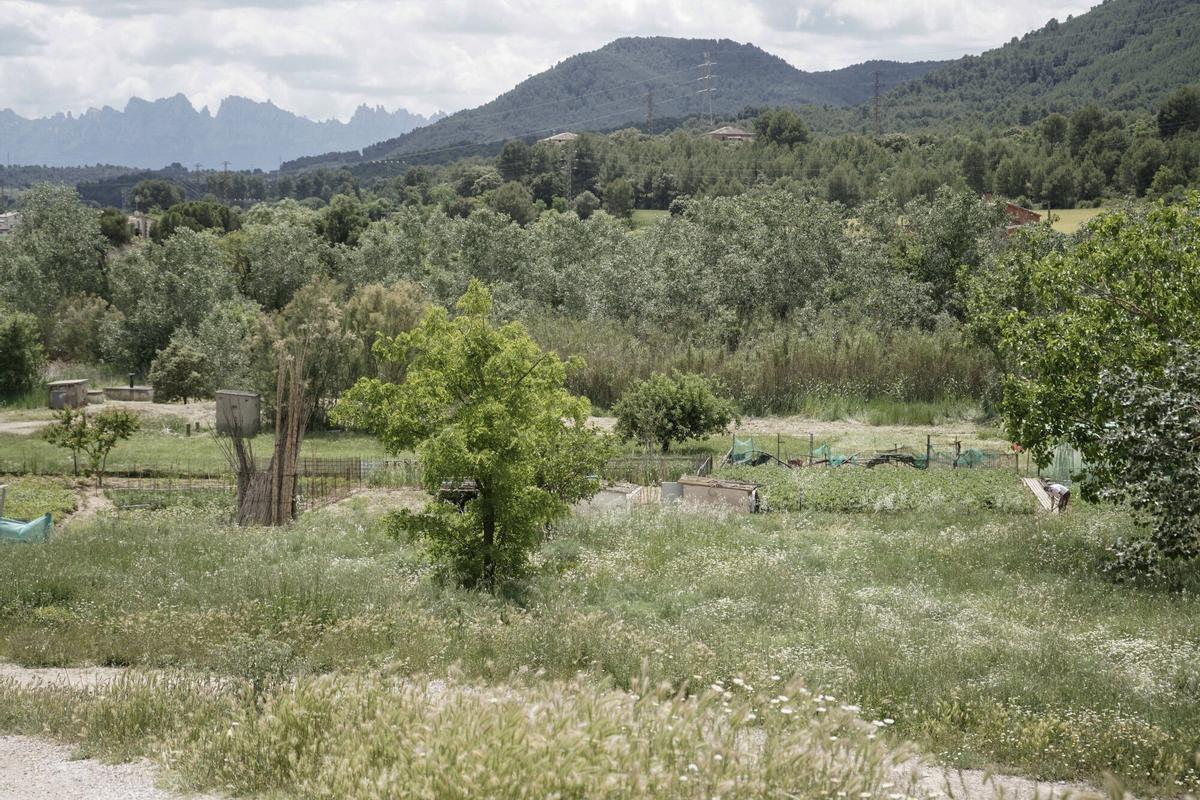 Imatge de la Font, a Callús, on es vol fer una nova zona verda