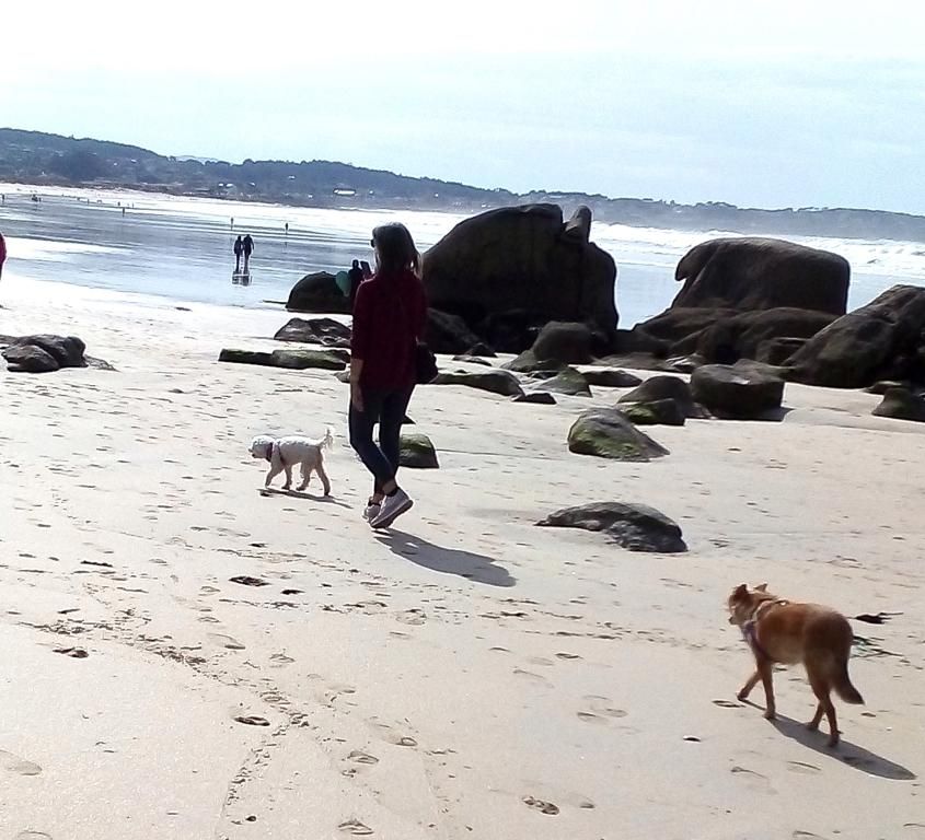 Una mujer pasea junto a dos perros por A Lanzada, la semana pasada.