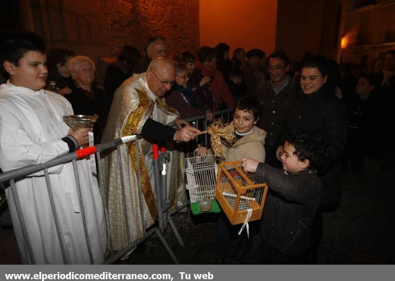 GALERÍA FOTOS - La provincia celebra Sant Antoni