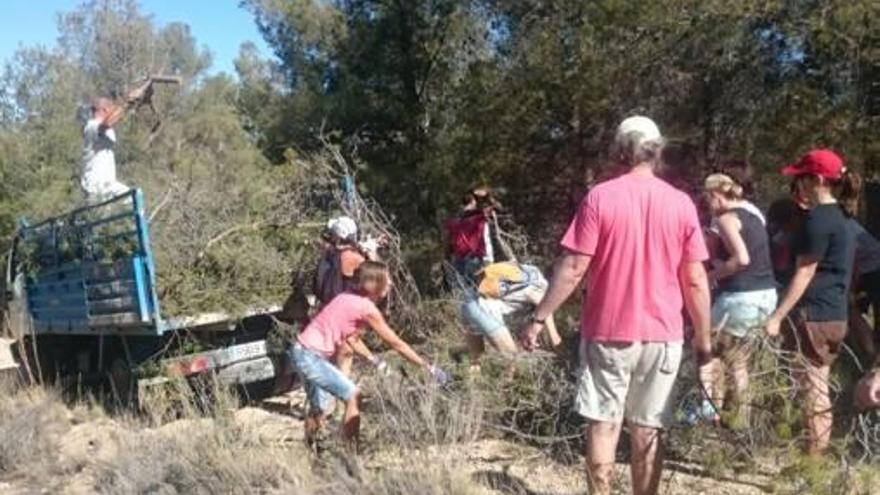 Retiran siete toneladas de leña en Cabeçó d&#039;Or