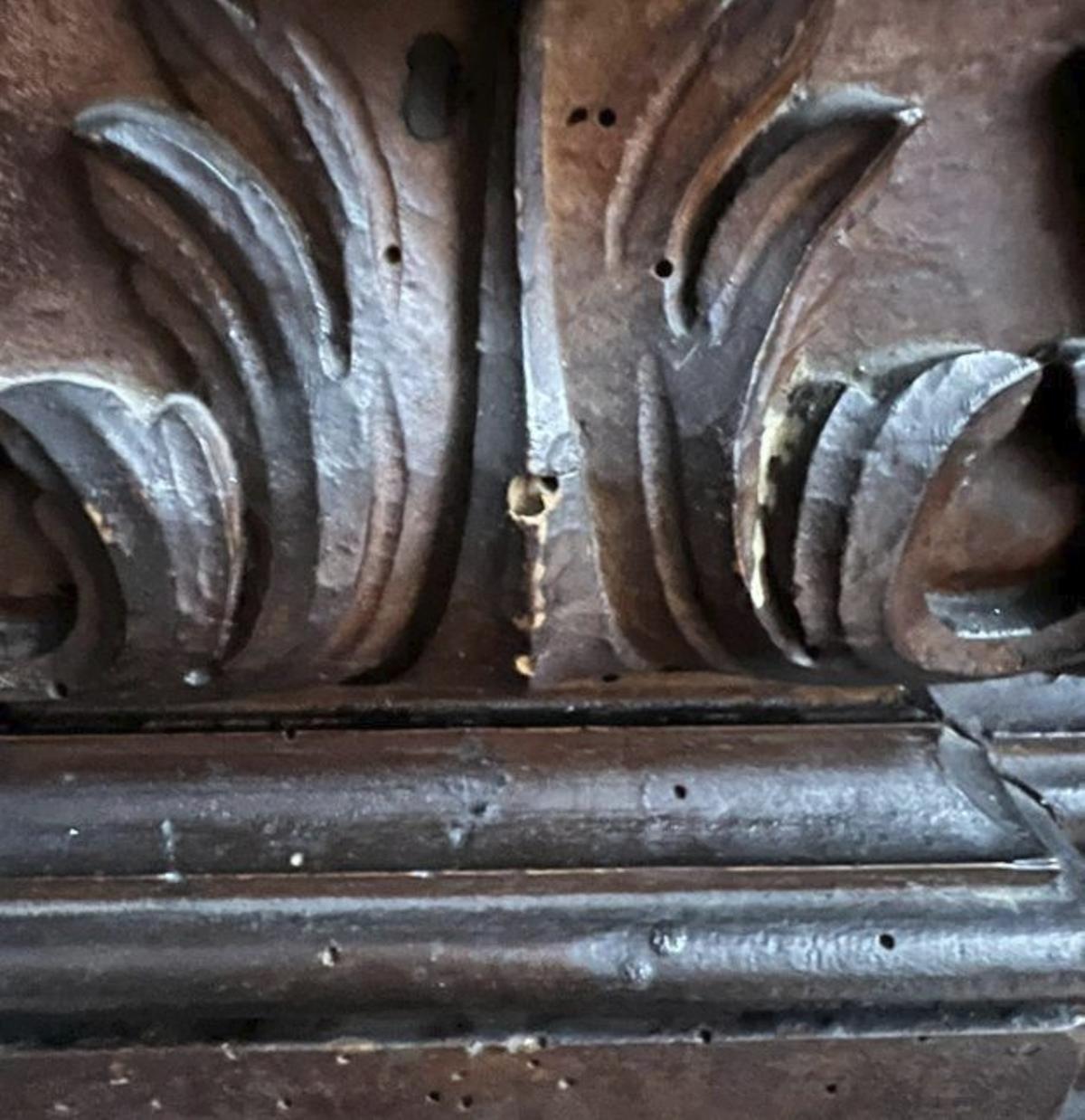 Agujeros causados por los xilófagos.