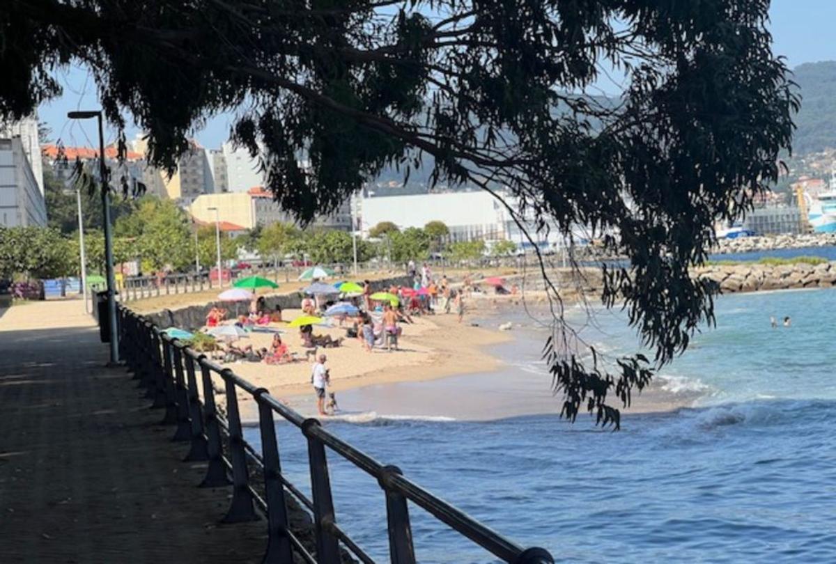 Eucaliptos inclinados sobre la playa de As Cunchiñas. | |