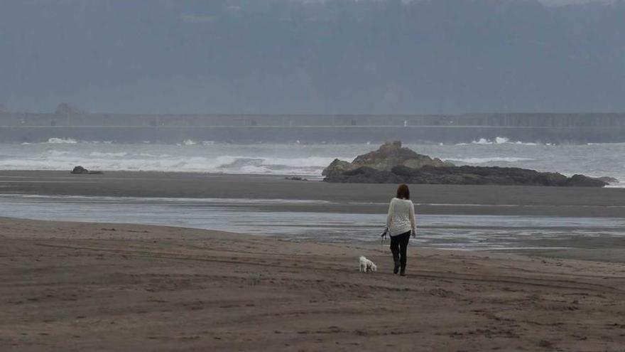 Una mujer pasea con su perra en la playa de Bayas hace unos días.