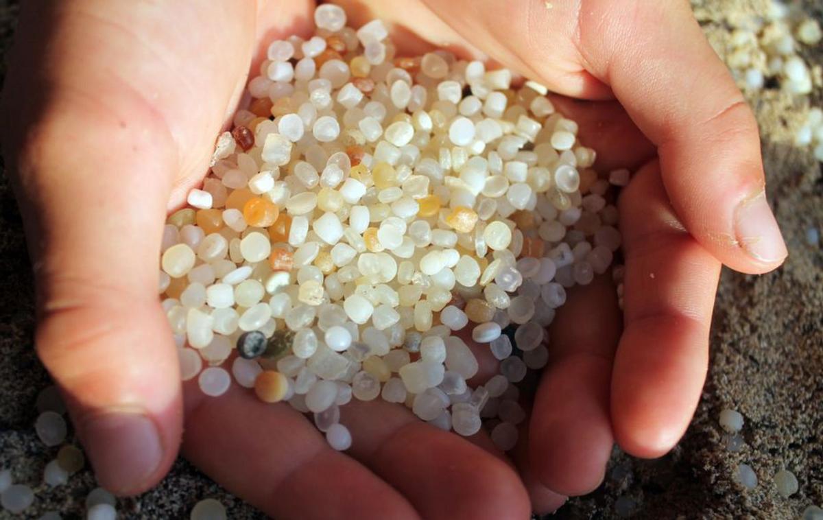 Muestra de pélets extraídos en una playa pitiusa. | GEN-GOB