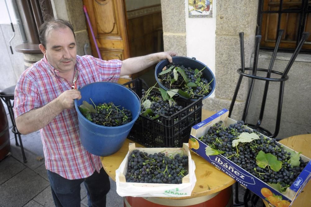 Vendimia en la Estrecha de San Andrés