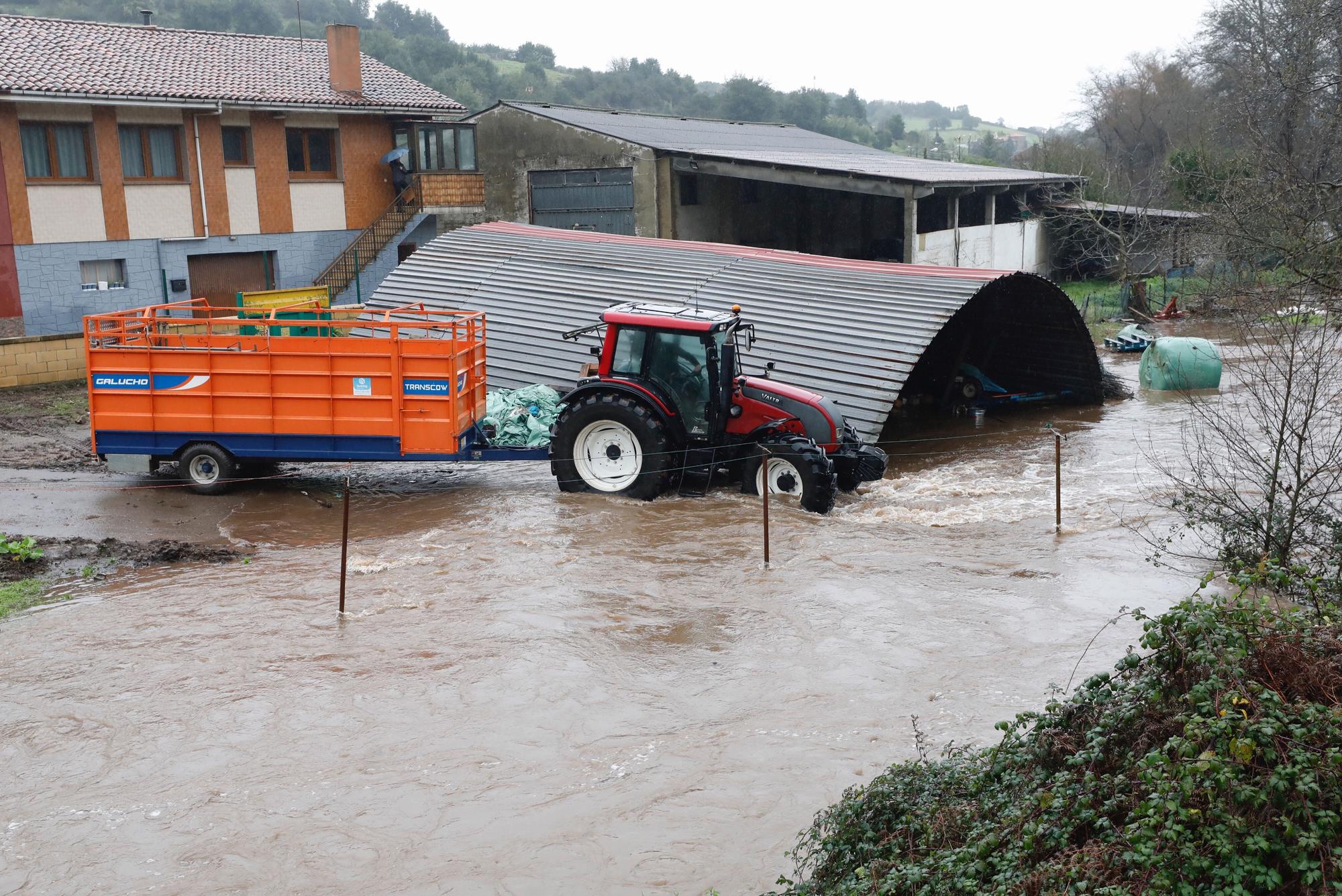 Temporal en Carreño