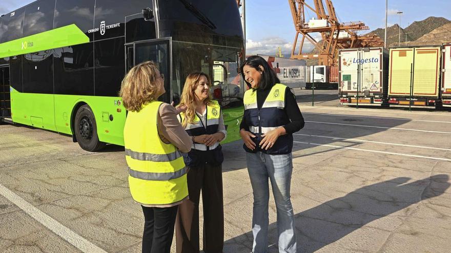 Tenerife Public Transport Hits Record 110 Million Passengers Following Major Investment