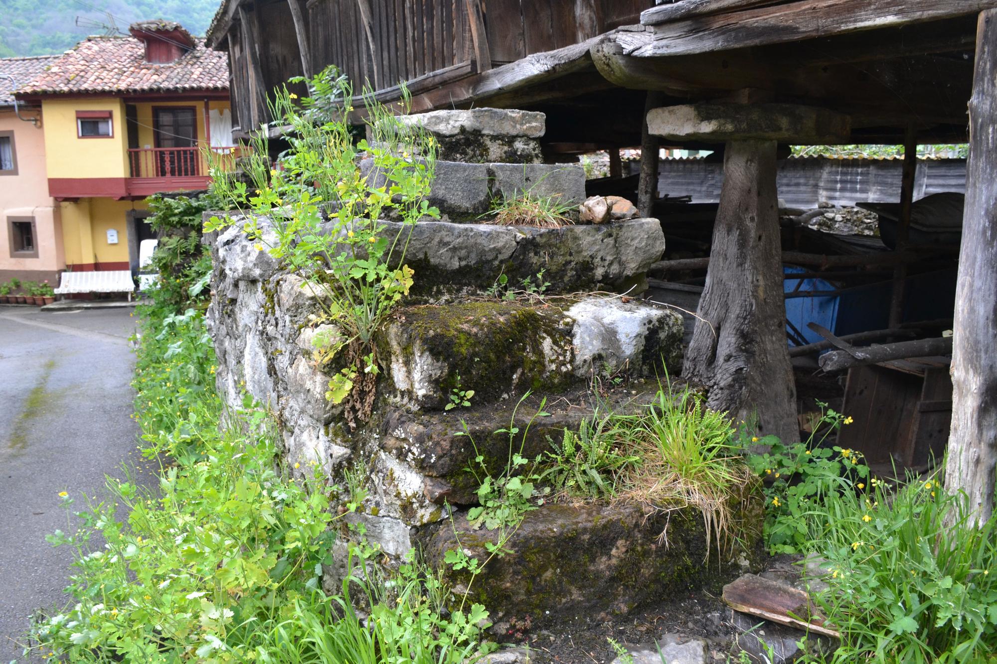 Las paneras más grandes de Asturias.