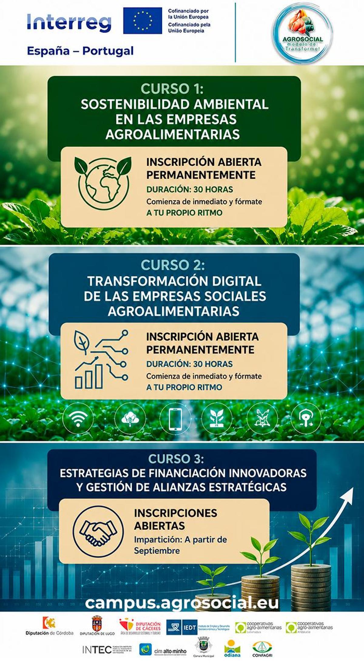 Cursos ofertados.