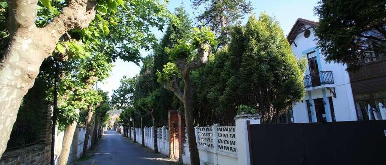 La calle del Carmen, en Salinas.