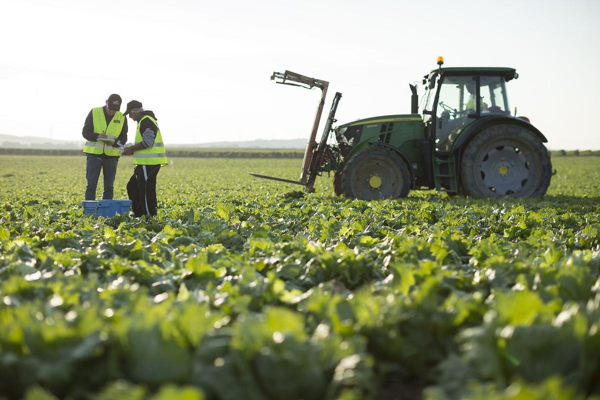 La agricultura, foco de tóxicos por los pesticidas