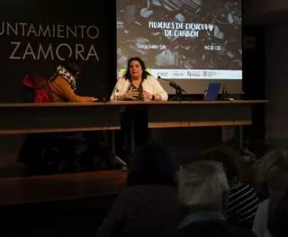 La desconocida relevancia del carbono en los "Martes de Ciencia" de Zamora