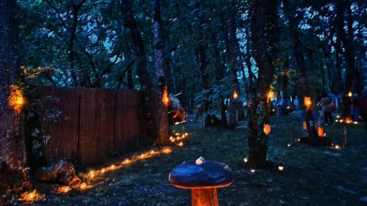 el bosque gallego con casas de gnomos y un tipi indio para pasar la noche