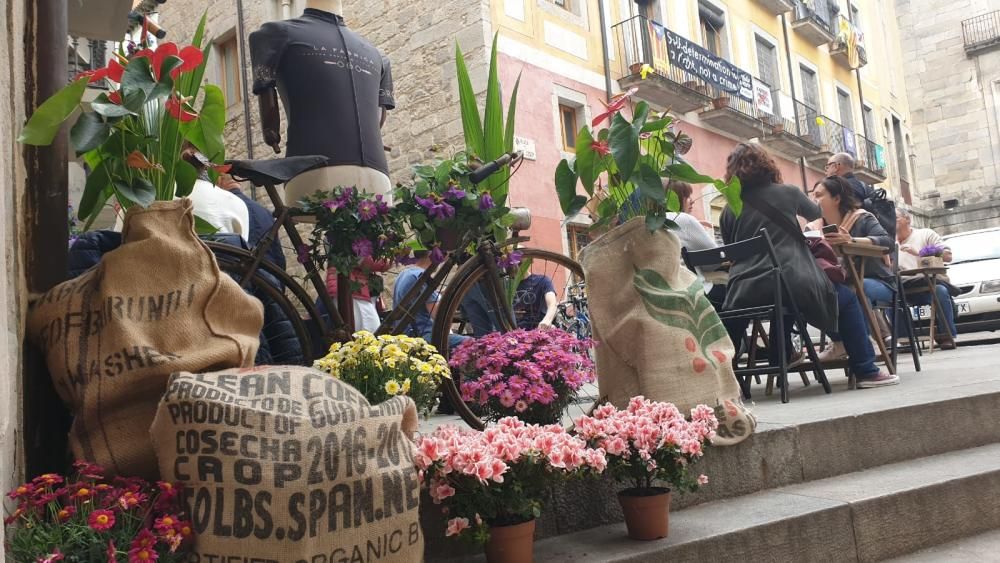 Girona, Temps de Flors 2019