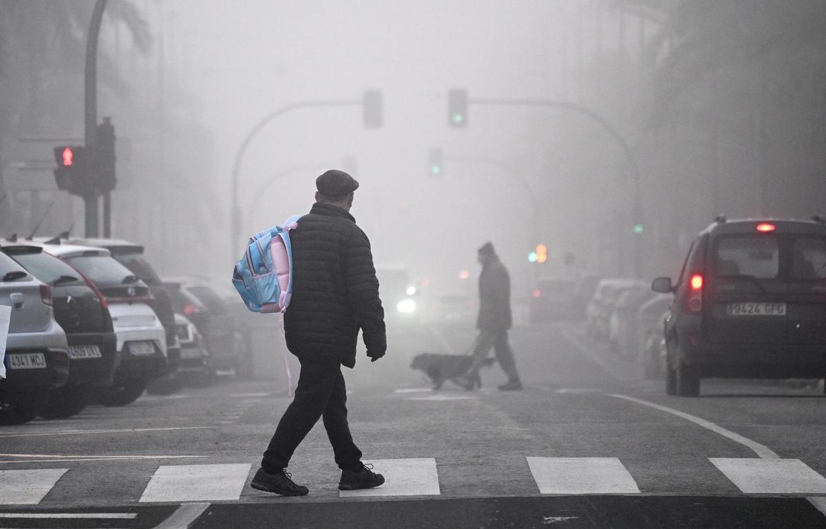 La niebla deja estampas invernales en la provincia de Alicante