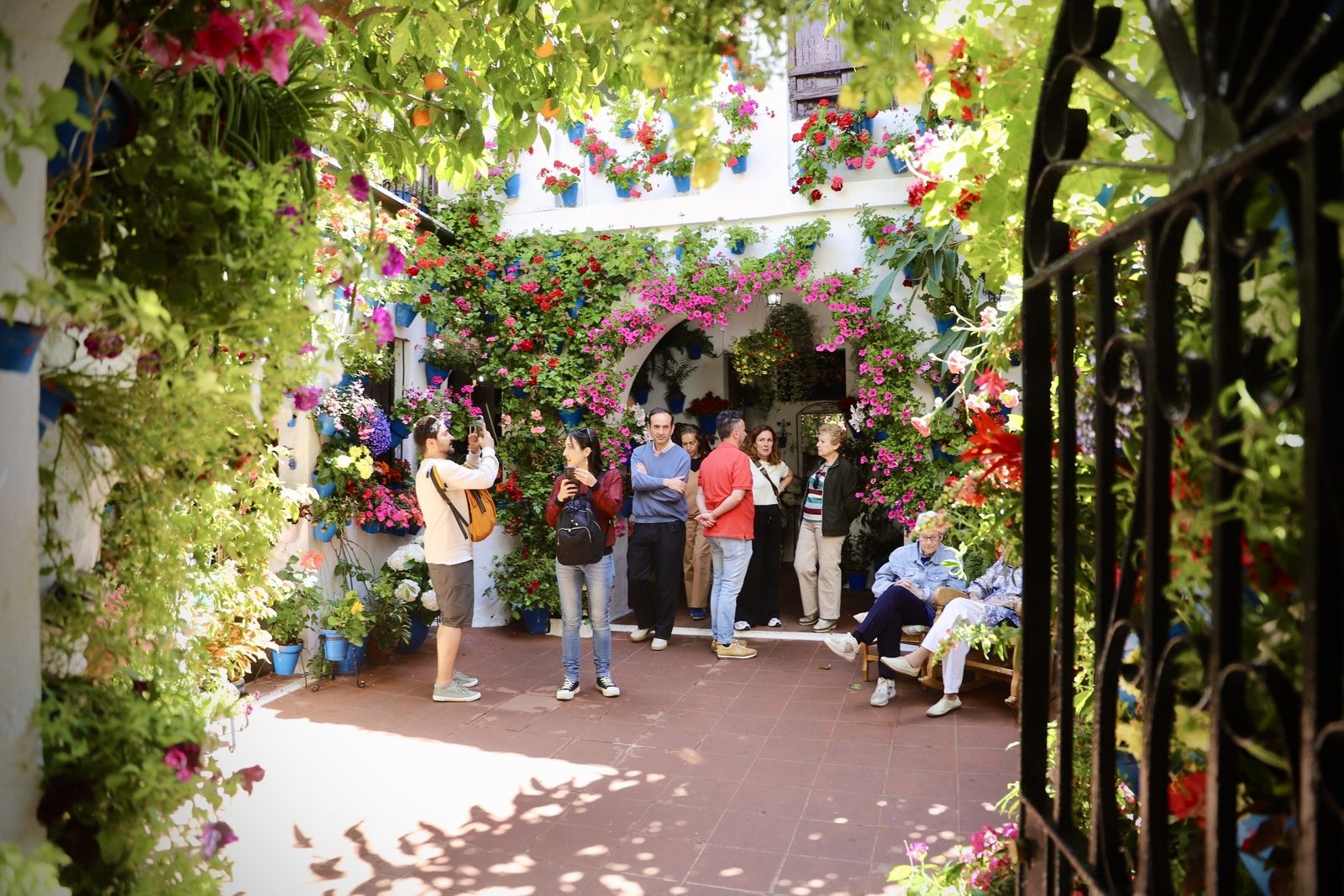 La Ruta 3 de los Patios de Córdoba, en imágenes