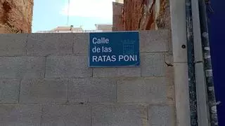 Un experto explica por qué hay tantas ratas en Málaga: la suciedad no es la única causa