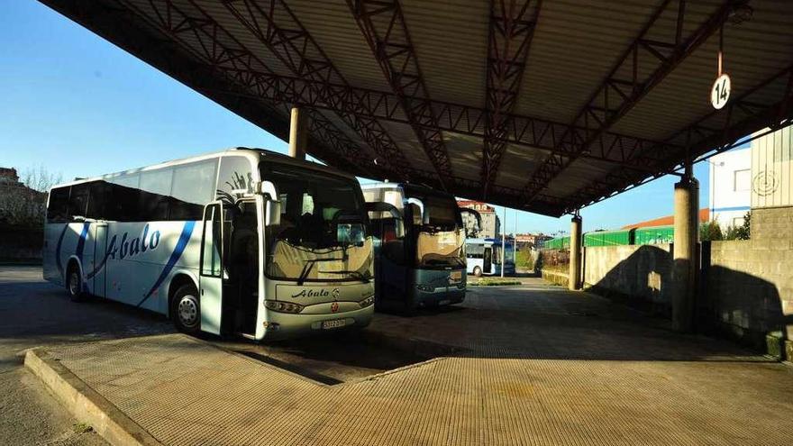 El plan para reordenar el transporte estudia siete líneas por ocho concellos