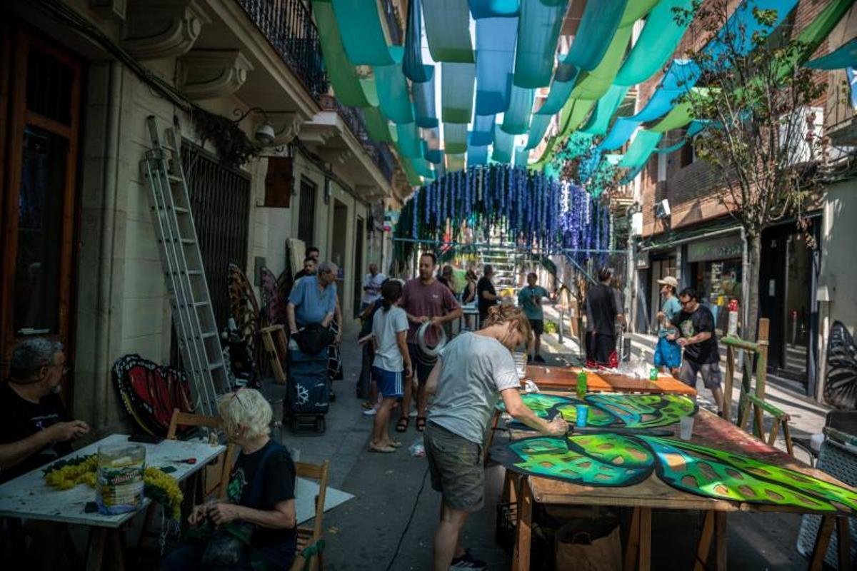 La calle Verdi, presenta 'Metamorfosi',un recorrido natural que muestra paso a paso la evolución de una oruga a mariposa La calle Verdi, presenta 'Metamorfosi',un recorrido natural que muestra paso a paso la evolución de una oruga a mariposa