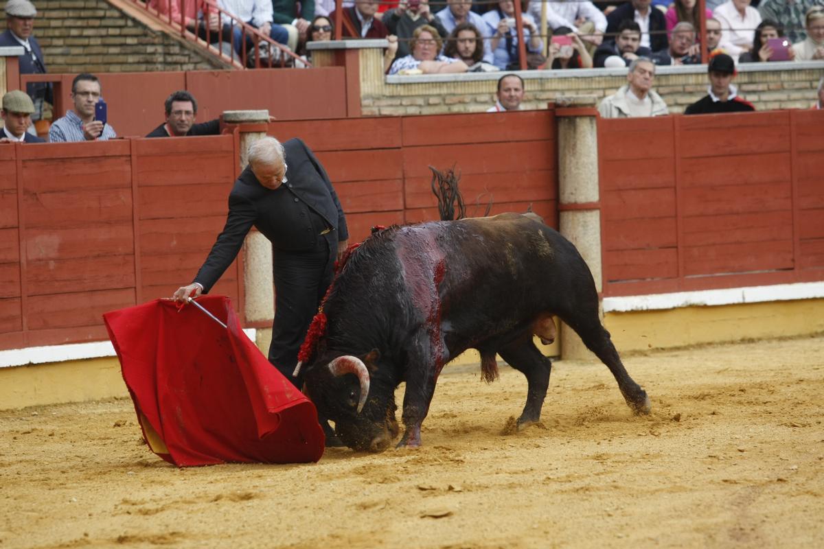 reaparicion de manuel benitez el cordobes