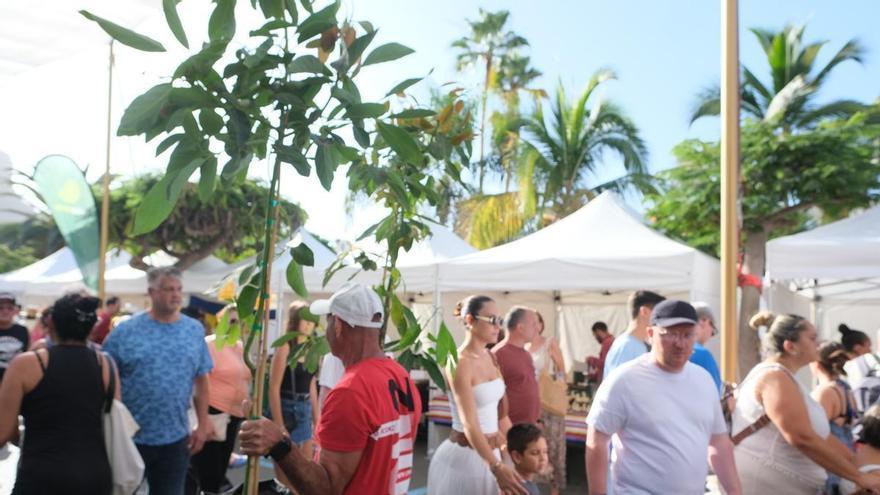 Arguineguín celebra el festival gratuito Street Nomads durante tres días