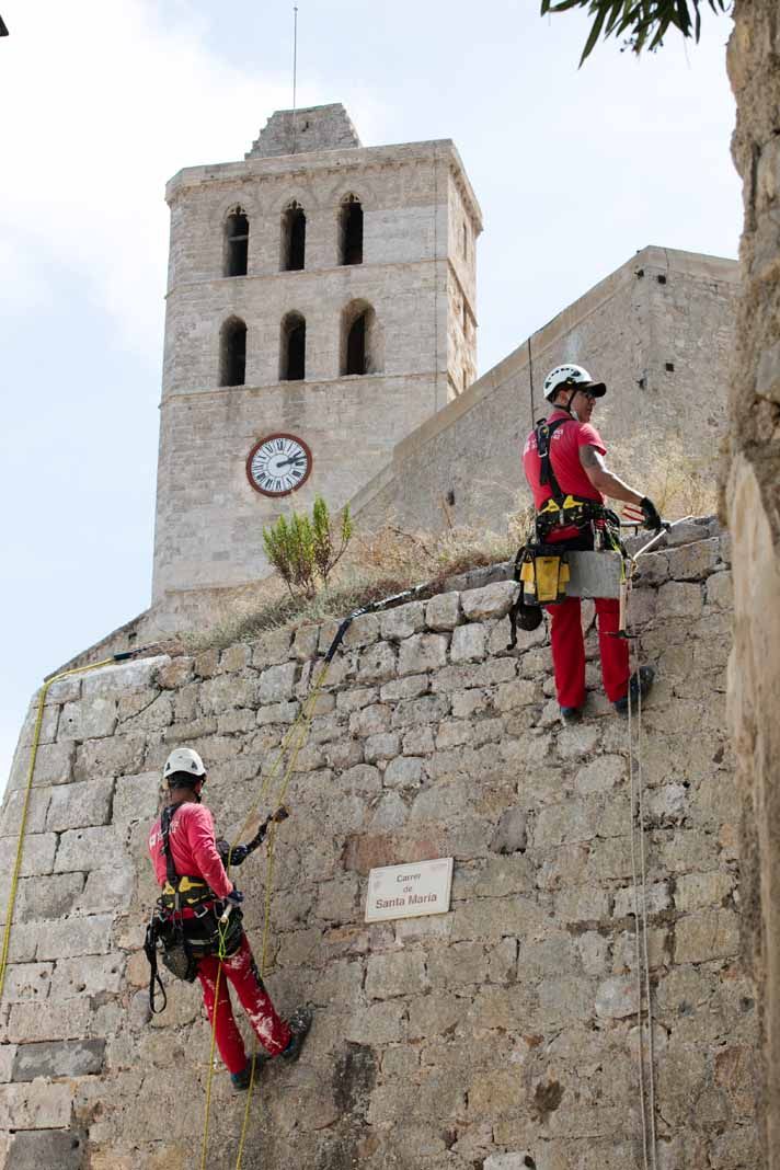 Arrancan los trabajos de limpieza de las murallas renacentistas de Ibiza