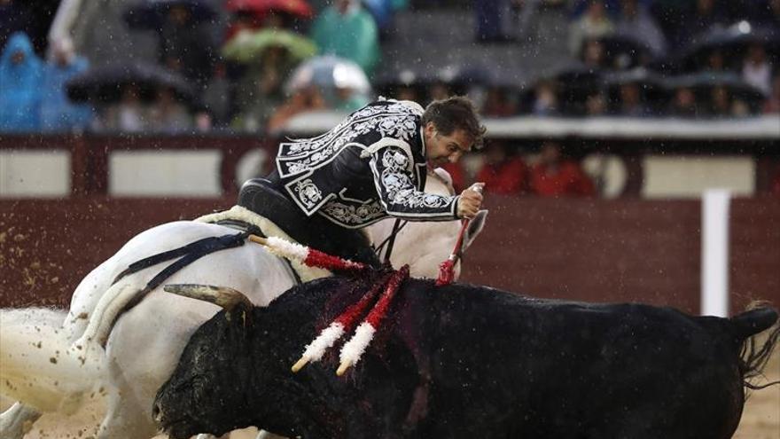 Orejas de mérito bajo la lluvia y sobre el barro