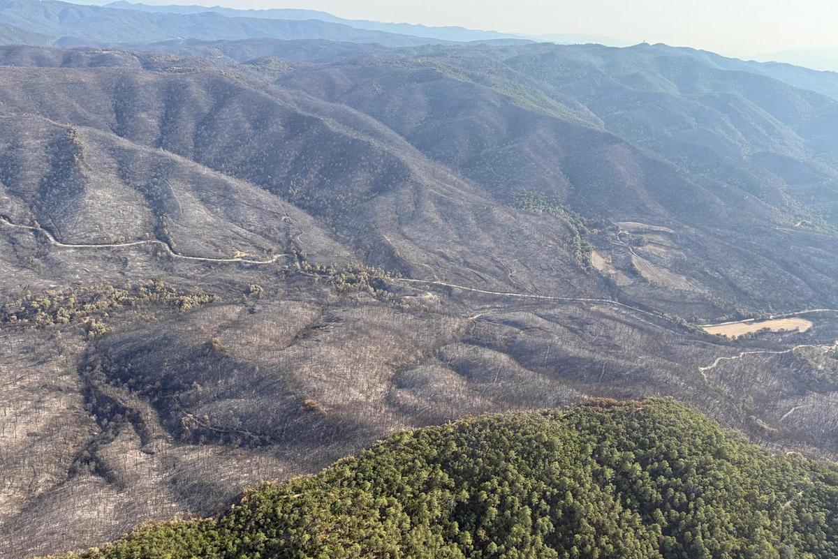 Les Gavarrres, després de l'incendi