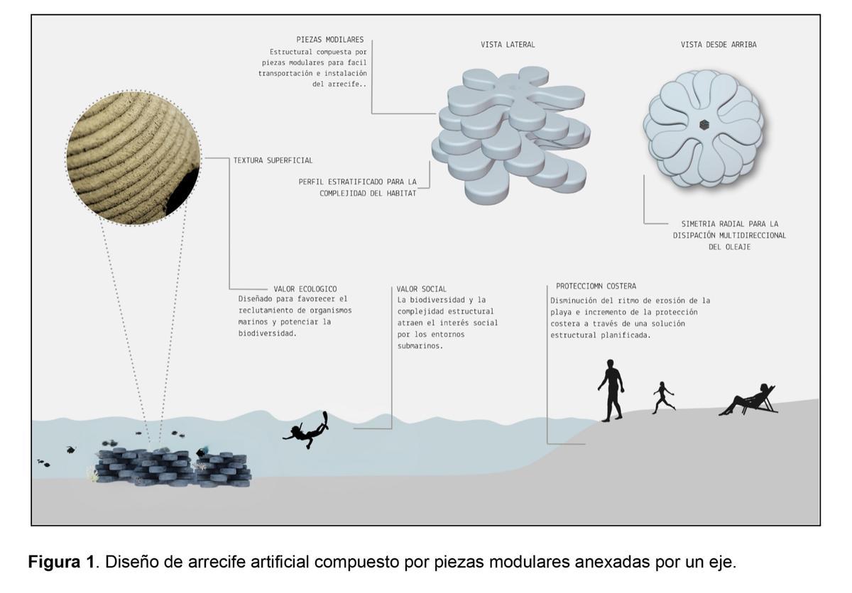 El diseño del arrecife