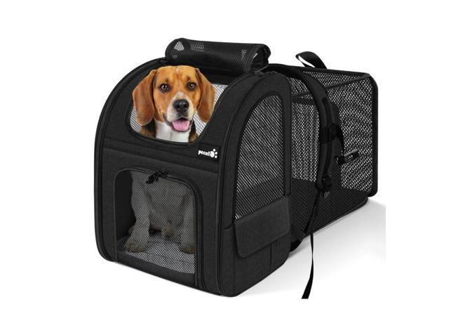 El mejor transportin para viajar en tren o avion con tu mascota