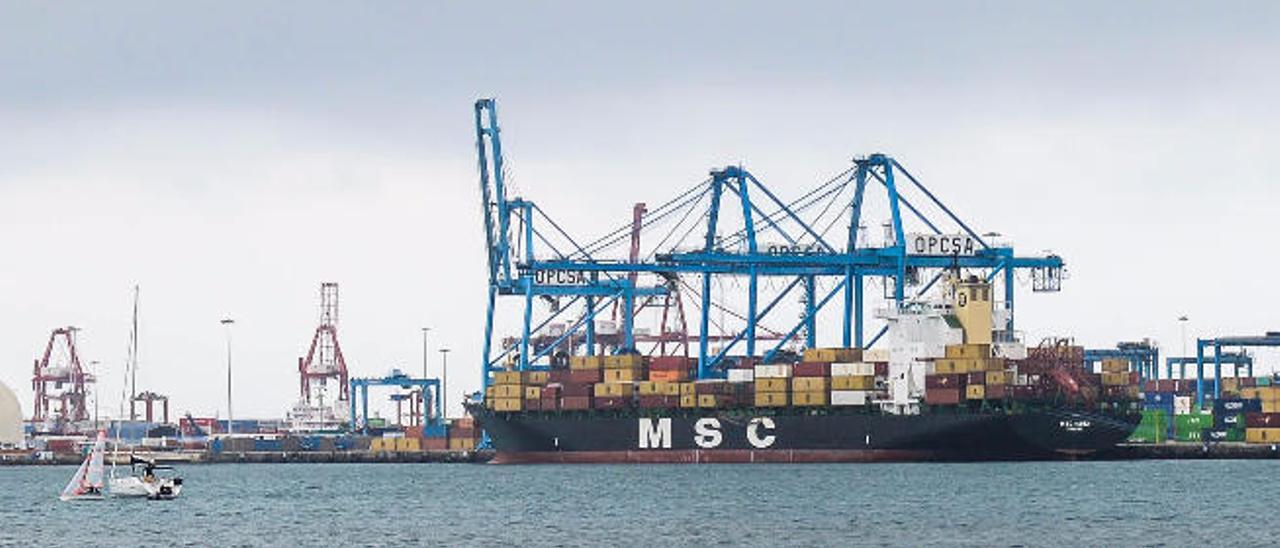 Un barco de la naviera MSC descarga contenedores en la terminal de Opcsa en el Puerto de La Luz.